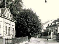 Nad lipom 1956. godine